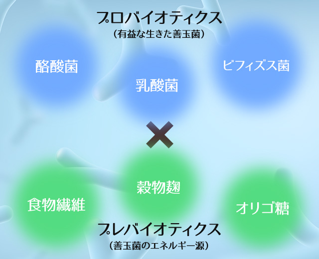 腸活の新常識 話題の 酪酸菌 で あなたの腸を育てよう 新陳代謝にこだわりを 株式会社メタボリック