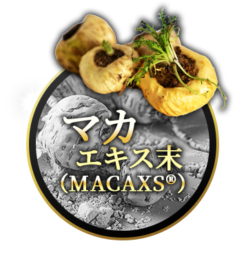 マカ皇帝倫液 マカエキス末 MACAXS