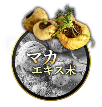 マカ皇帝倫 SIXTEEN マカエキス末