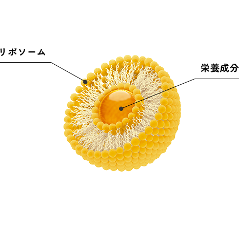 ザ・ブライトワン リポソームとは