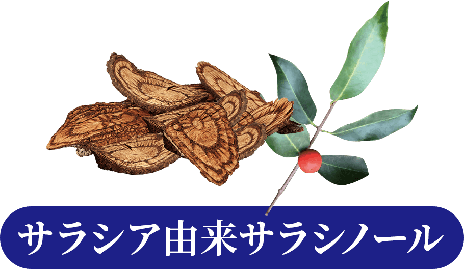 メタプラス糖質ケアの機能性関与成分 サラシア由来 サラシノール