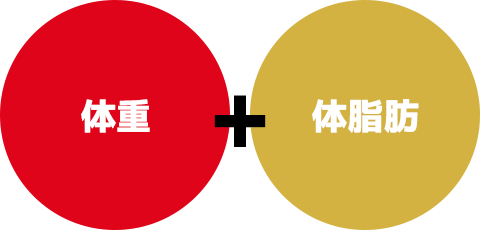 体重・体脂肪