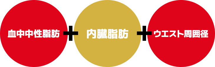 血中濃度中性脂肪・内臓脂肪・ウエスト周囲径