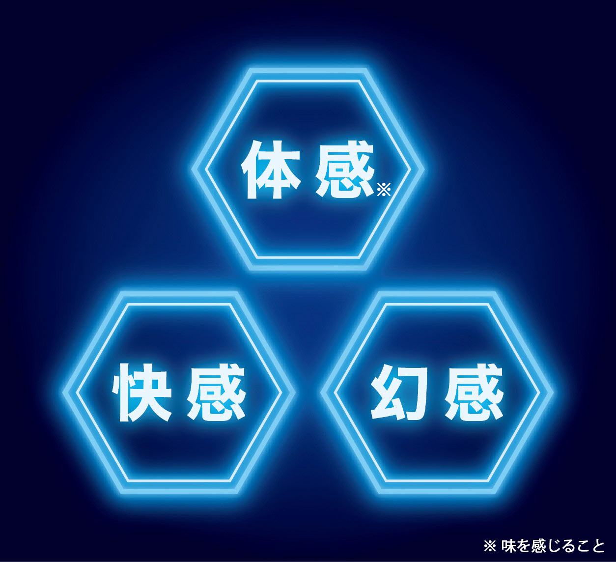 体感、快感、幻覚