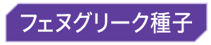 フェヌグリーク種子