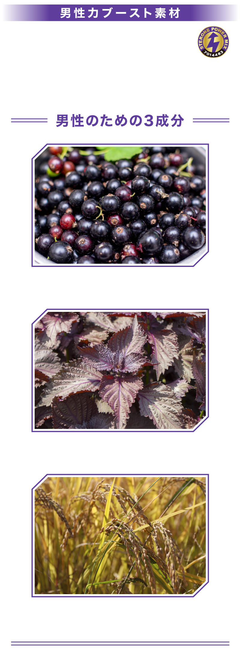 ステロンパワーミックス